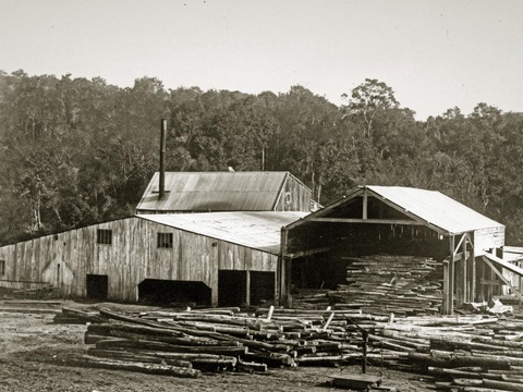 Thesen's saw mill, Brackenhill, Knysna forests