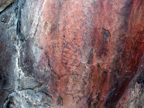 Bushmen paintings, Whitchers Cave, Tsitsikamma, Garden Route National Park. Image courtesy South African National Parks