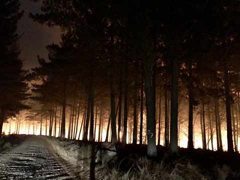 Knysna fires of 2017. Image: Berend Maarsingh
