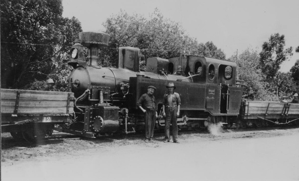 Knysna Coffee Pot Railway, South Western Railway Co Ltd, Knysna forest railway