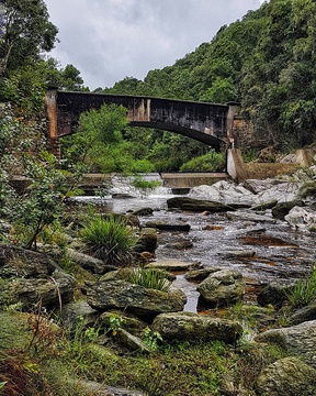 Silver River Bridge, 7-Passes Road. Image: Rose Bilborough - gotravelbug.co.za
