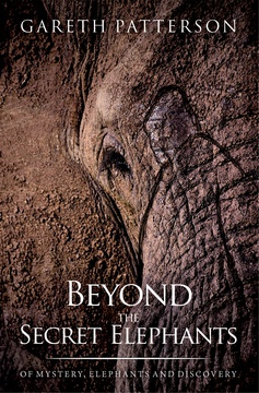 Gareth Patterson, Beyond the Secret Elephants, Knysna Elephants, Knysna Forest, Otang