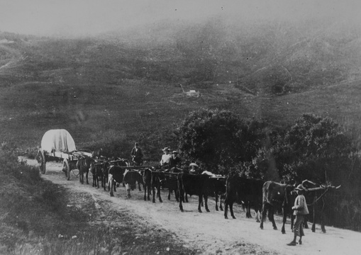 Ox wagon, Kakebeenwa, 7-Passes road, George - Knysna, 19th Century