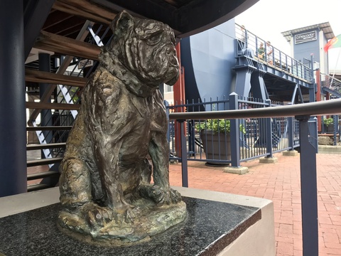 Bondi of HMS Verbena, dog statue, Knysna, Knysna Animal Welfare, sculptor Karel du Toit