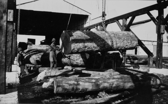 Thesen's sawmill, Knysna 